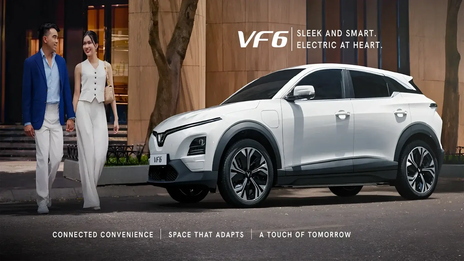 VF6